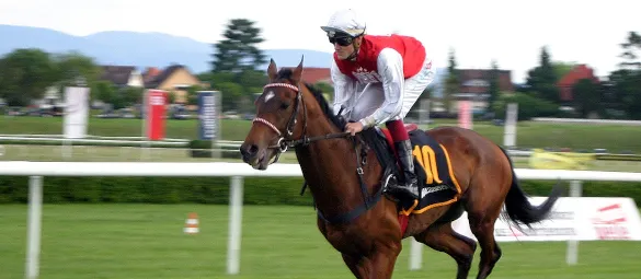 Image of race horse and jockey