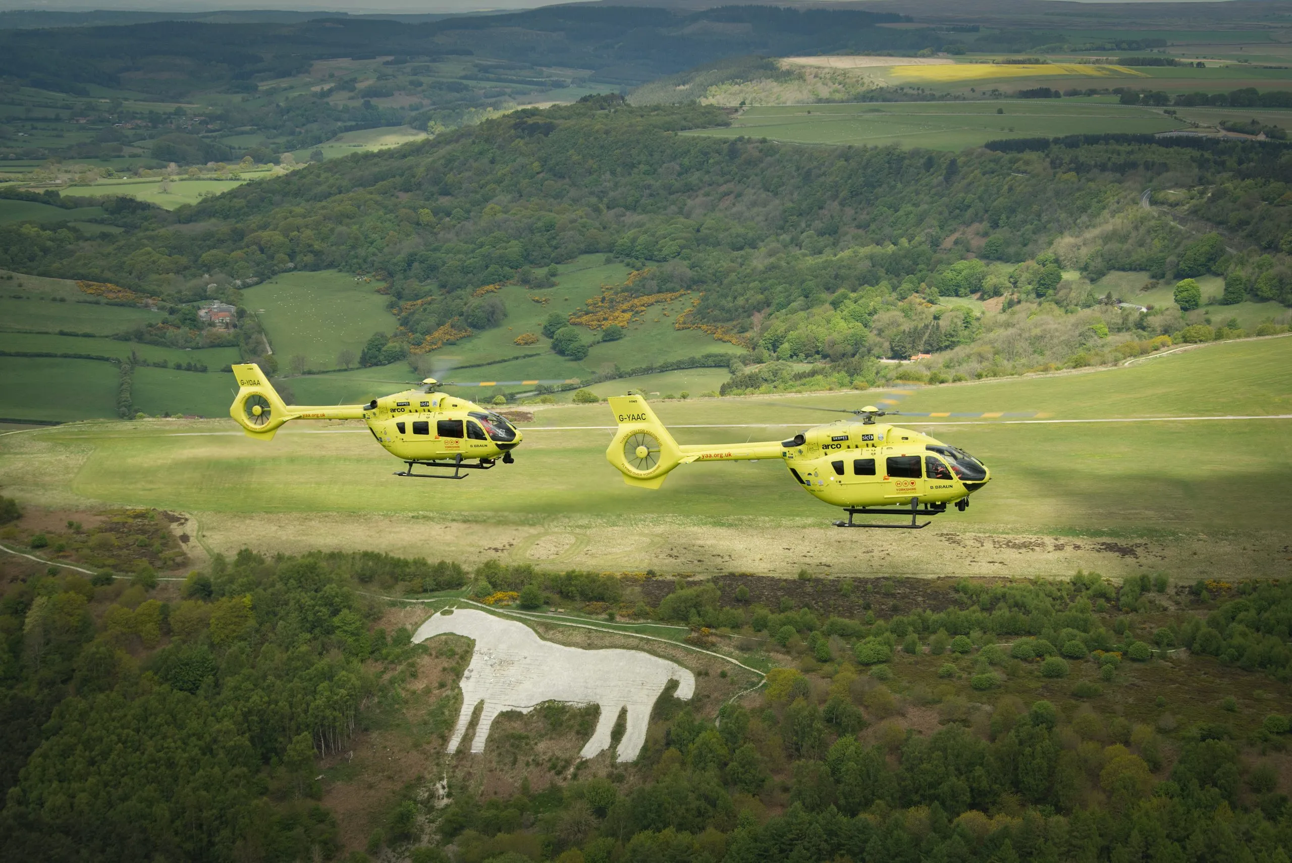 Two Helicopters and the horse