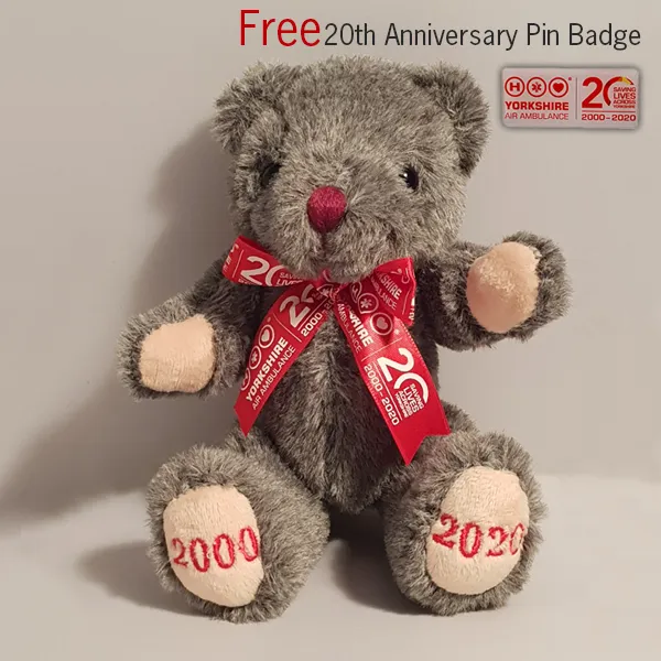 Image of YAA 20th Anniversary Teddy & Free Pin Badge