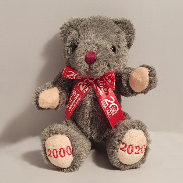anniversary teddy bear