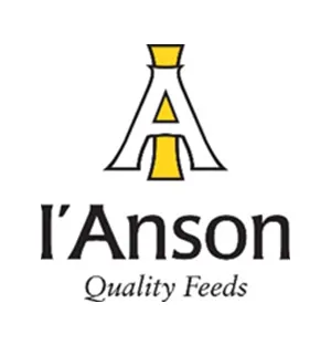 I'Anson Logo