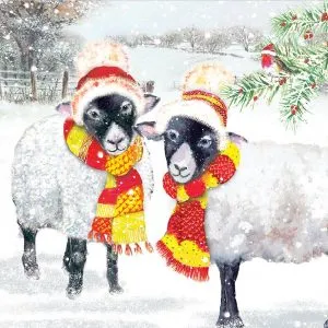 sheep with scarfs