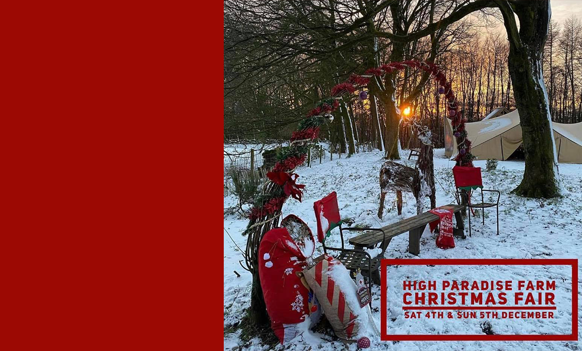 High Paradise Farm Christmas Fair Yorkshire Air Ambulance