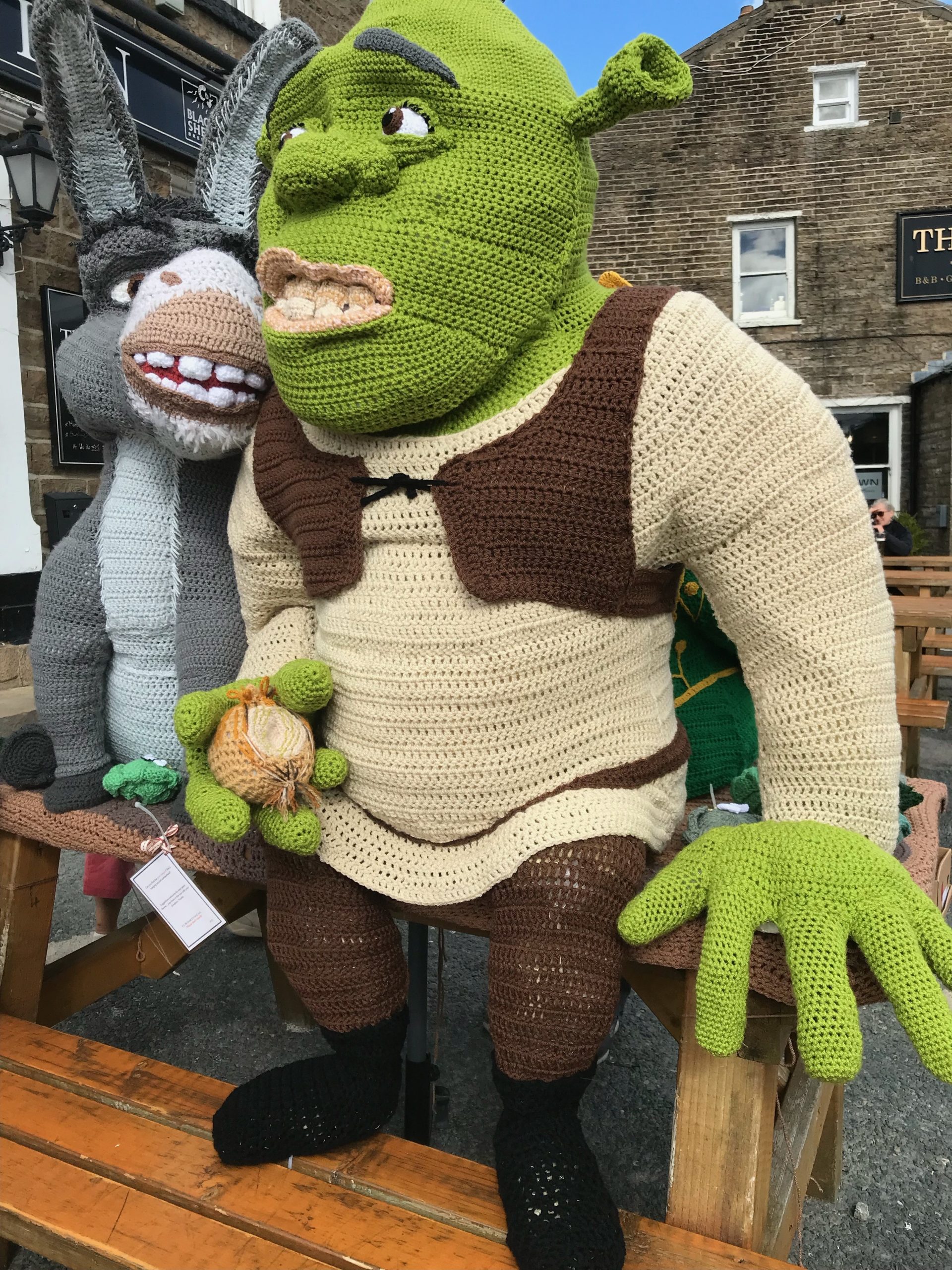 Hawes Yarn Bombers continue YAA support with Shrek themed display ...