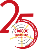 25th Anniversary logo