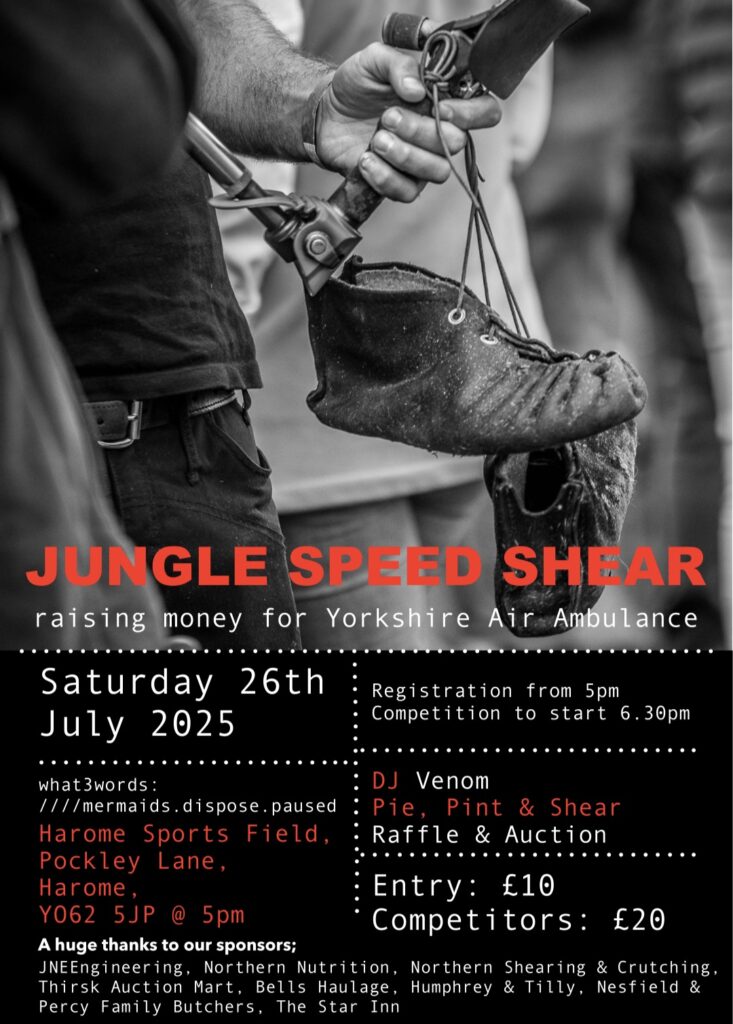 Jungle Speed Sheer 2025