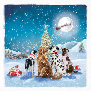 Santa Paws
