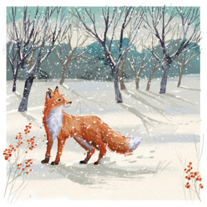 Winter Fox