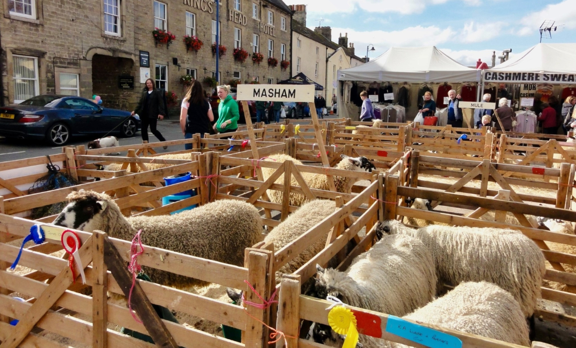 A number of sheep in wooden pens in a town market place. There is a sign which says 'MASHAM'