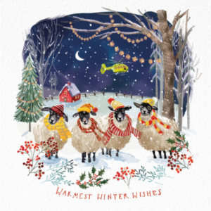Warm Winter