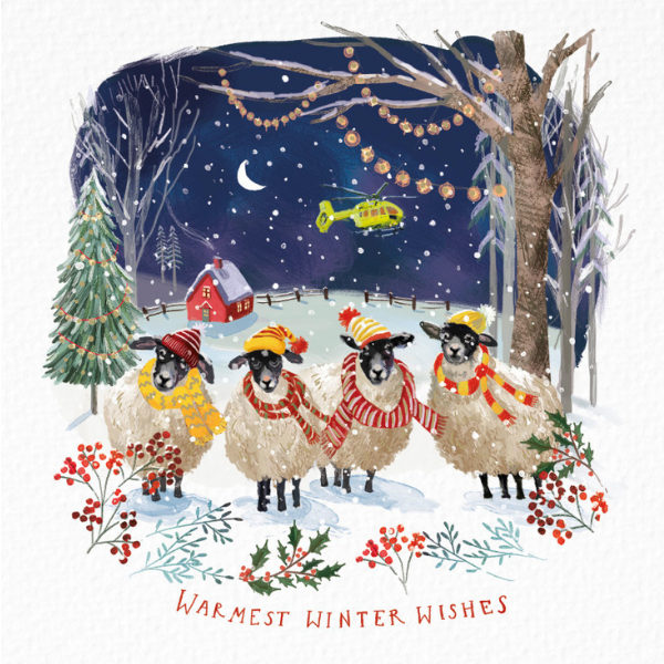 Warm Winter